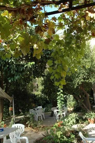 Lodi