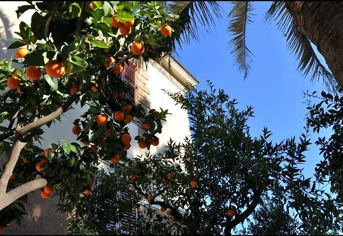 Lodi Hotel